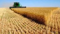 متوسط قیمت محصولات کشاورزی در فصل بهار اعلام شد