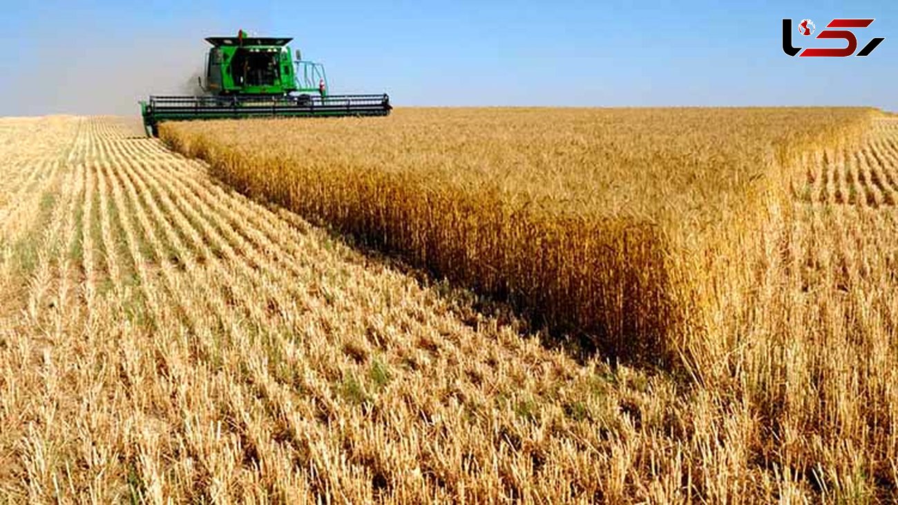 متوسط قیمت محصولات کشاورزی در فصل بهار اعلام شد