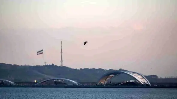 راز تمساح دریاچه خلیج فارس چیتگر فاش شد /  یک‌اردک ماهی بود