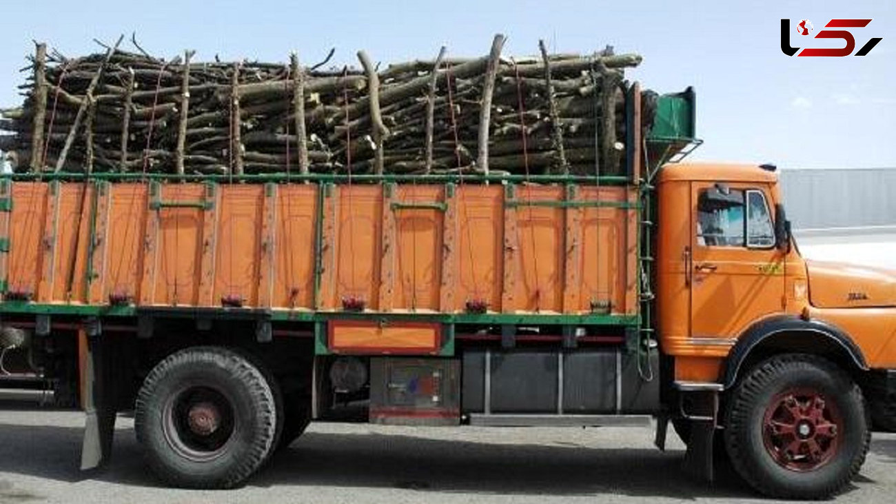کامیون حامل چوب اکالیپتوس قاچاق در شاهرود توقیف شد