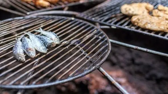 طعم و طبخ غذا با  گرمای آتشفشان 