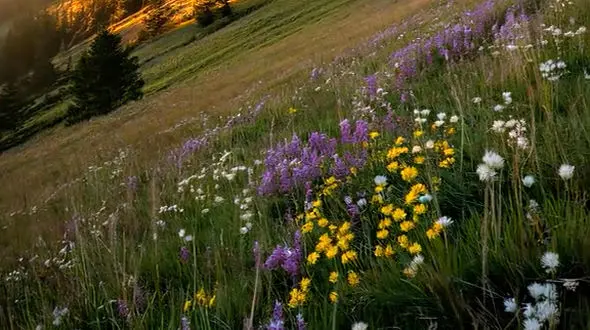 ترس بخشی از راه است 