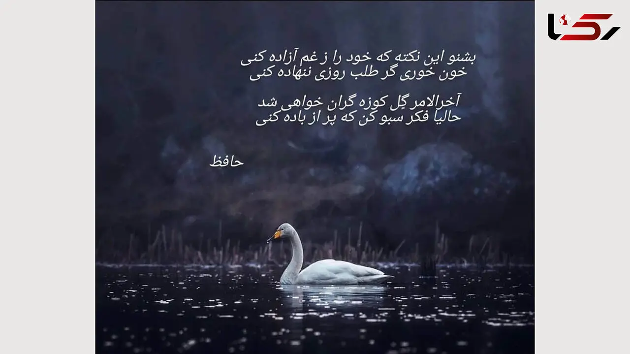 فال حافظ امروز / 28 آبان ماه با تفسیر دقیق + فیلم