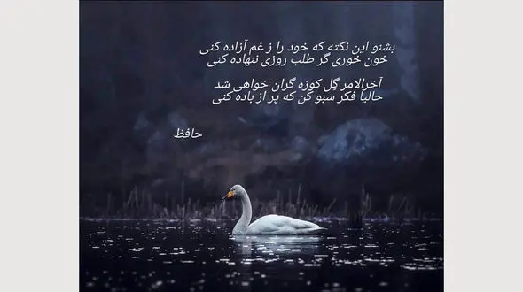 فال حافظ چهارمین روز عید 1402 / 4 فروردین ماه با تفسیر دقیق + فیلم