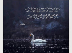 فال حافظ چهارمین روز عید 1402 / 4 فروردین ماه با تفسیر دقیق + فیلم