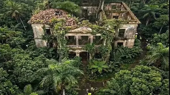 معماری خلاقانه؛ خونه که چه عرض کنم خرابه رو بازسازی کردن برگ ریزون شد در حد لالیگا