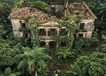 معماری خلاقانه؛ خونه که چه عرض کنم خرابه رو بازسازی کردن برگ ریزون شد در حد لالیگا