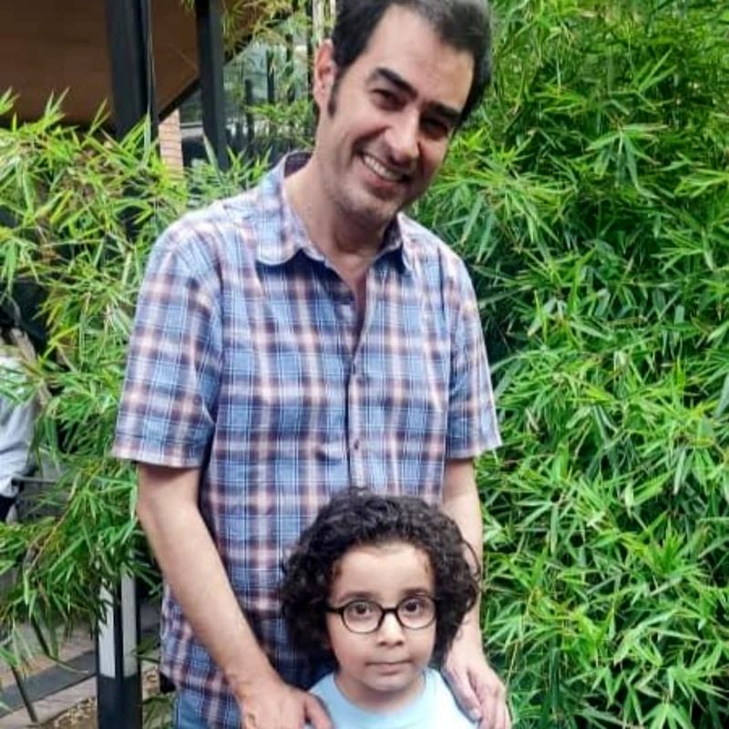 شهاب حسینی