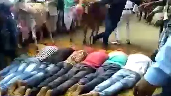 فیلم آیین باستانی هندوها با گاوها