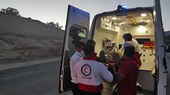 حمله خونین خرس به مردی در ارتفاعات کبیرکوه / ایلامی ها به وحشت افتادند