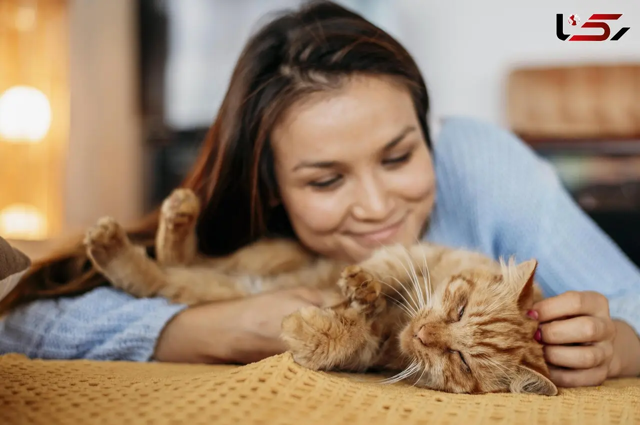گربه بیشتر، شادی بیشتر؟ / یک پژوهش علمی را اشتباه فهمیده‌ایم!