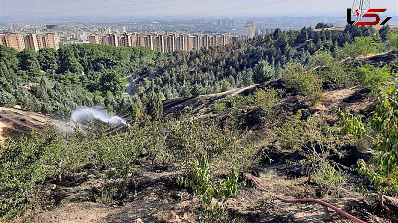 بوستان کوهسار تهران تعطیل شد
