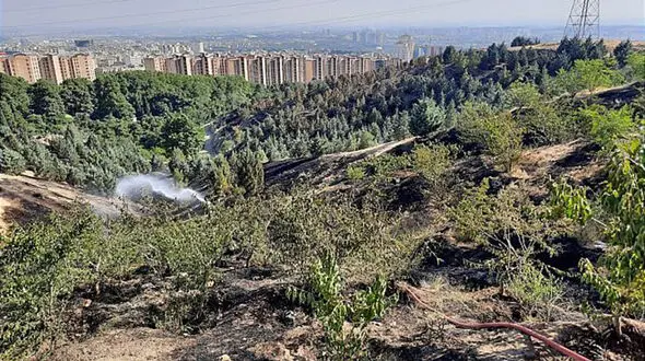 بوستان کوهسار تهران تعطیل شد