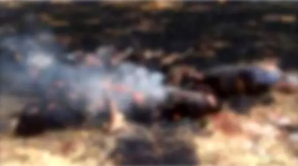 ایندیپندنت: تعدادی کودک در میانمار زنده به آتش کشیده شدند