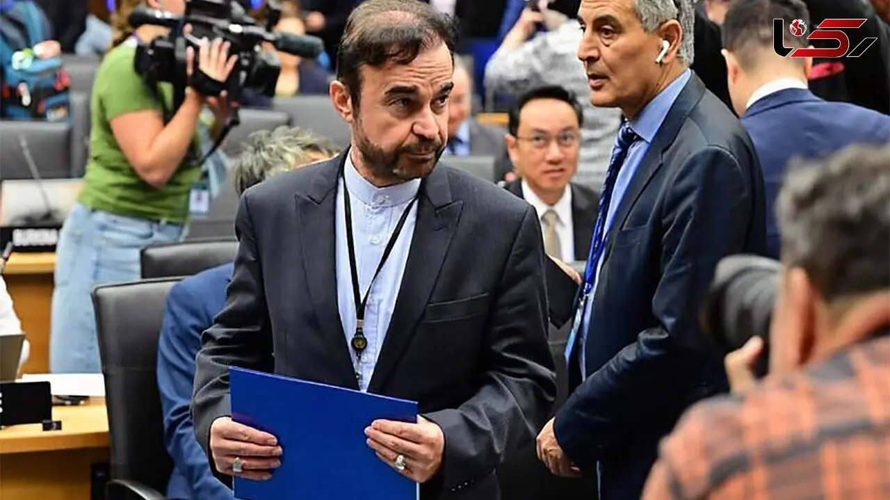 ممانعت از حضور رئیس سازمان انرژی اتمی ایران ، آژانس بین المللی  را تضعیف کرد