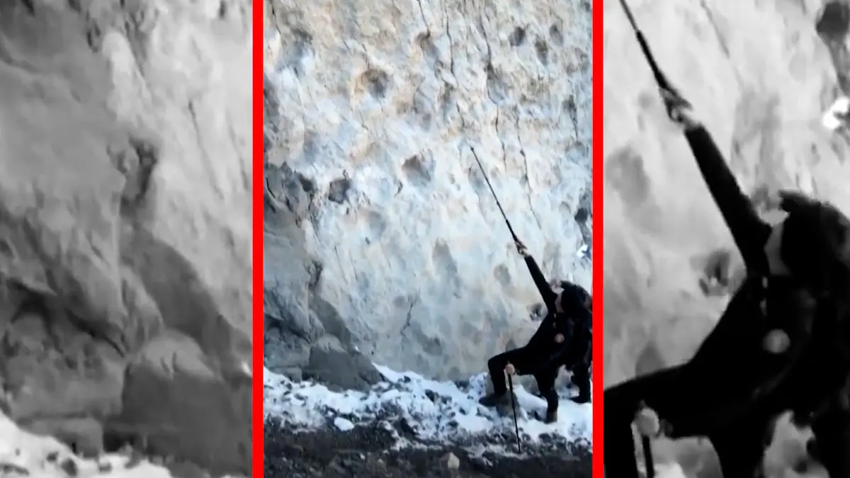 ردپای دایناسورهای ۲۱۰ میلیون ساله در ایتالیا پیدا شد