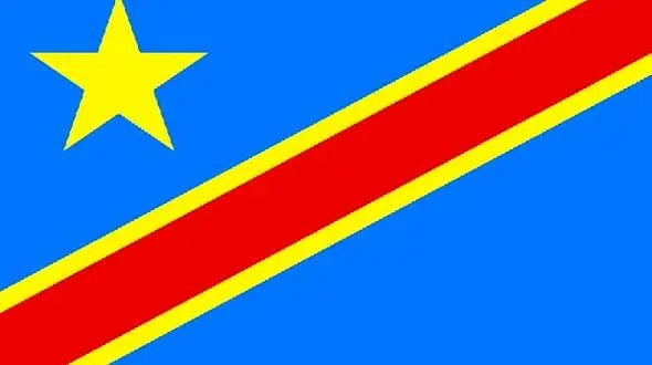 سقوط هواپیمای حامل کارکنان دفتر ریاست جمهوری / 8 سرنشین کنگویی ناپدید شدند