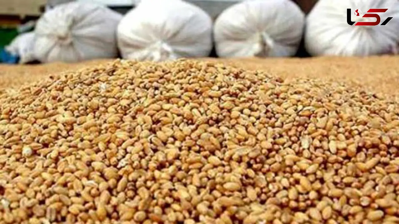 قاچاقچی خوراک حیوانی در اصفهان به دام افتاد!