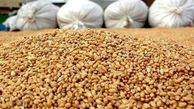 کشف خوراک دام 57 تنی احتکار شده در اسلام آبادغرب