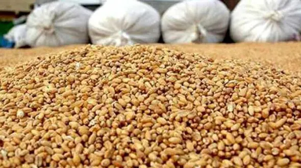 قاچاقچی خوراک حیوانی در اصفهان به دام افتاد!