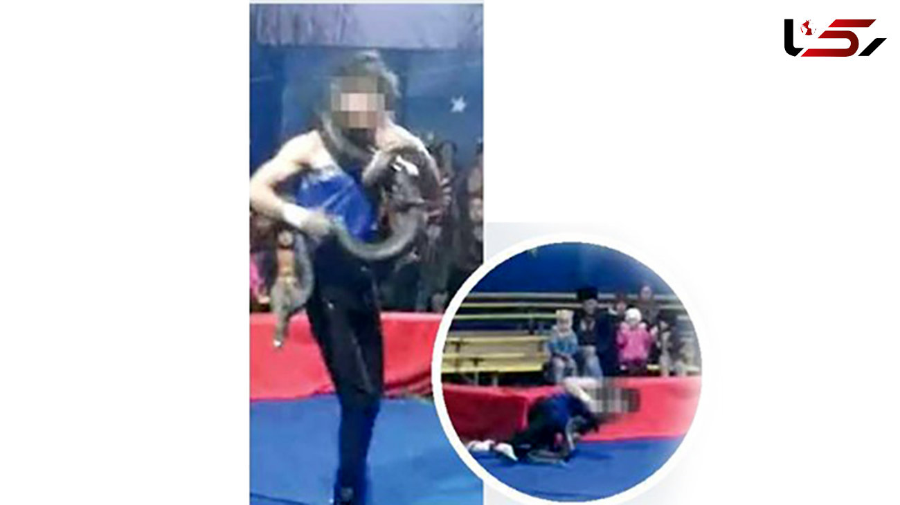 مار سیرک مربی روس خود را مقابل چشمان تماشاگران به طرز وحشتناکی کشت + عکس