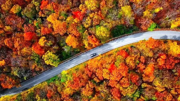 جاذبه های گردشگری استان های ایران در پاییز