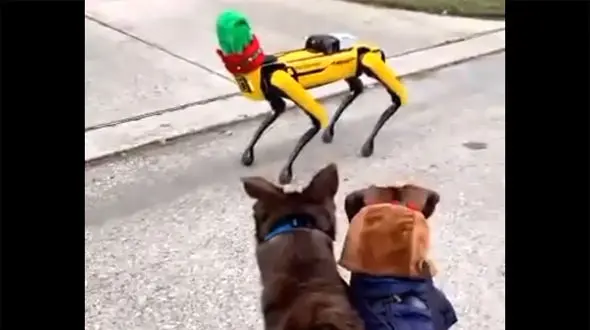 ببینید / عکس‌العمل عجیب سگ‌ ها به ربات‌ ها در حین پیاده‌روی + فیلم 