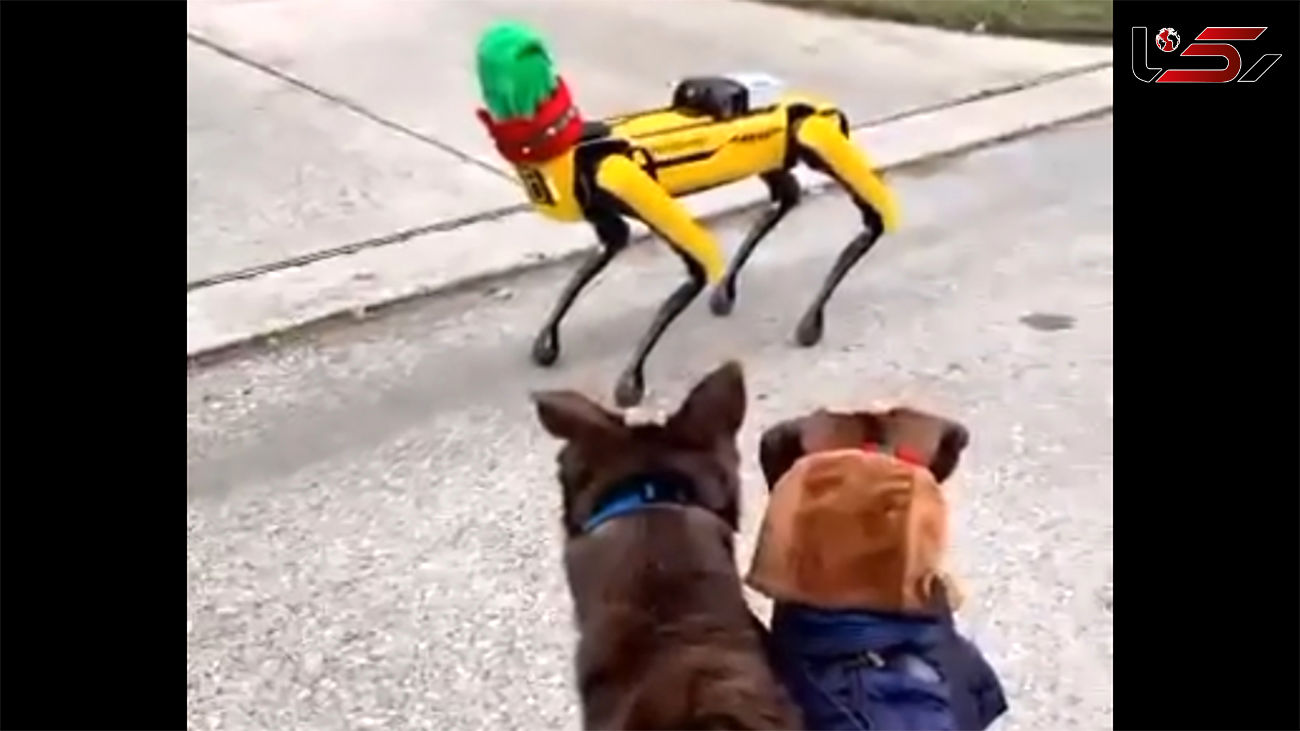 ببینید / عکس‌العمل عجیب سگ‌ ها به ربات‌ ها در حین پیاده‌روی + فیلم 