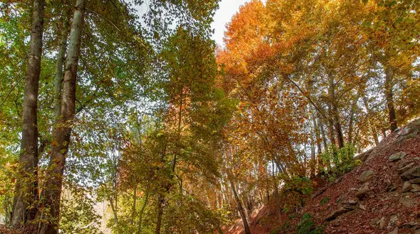 از دربند تا شیراز، باغ ارم