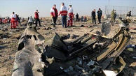 درخواست دیدار با رئیس جمهور برای پرداخت غرامت به خانواده‎ های قربانیان هواپیمای اوکراینی