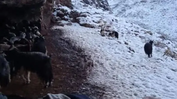 اولین برف زمستانی در خوزستان +عکس