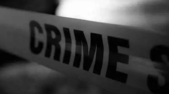 قتل 3 عضو خانواده به دست پسر ناخلف / جسد مادربزرگ ها و عمو پیدا شد +عکس