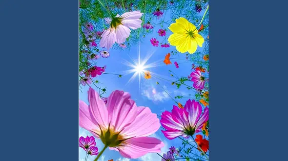 فال ابجد امروز / 28 فروردین ماه + فیلم 