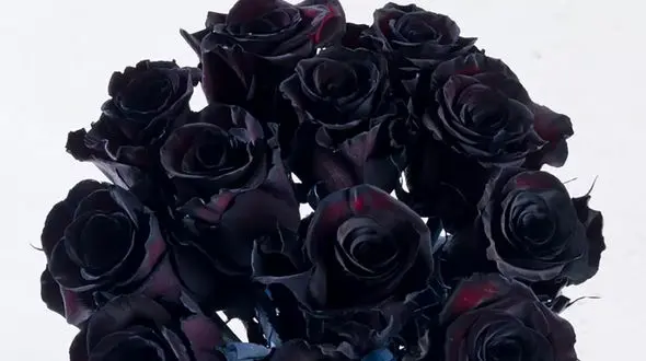 بدشانس ترین داماد در مشهد که 3 زن گرفت! / عروس خائن با سبزی فروش بد جایی بودند!