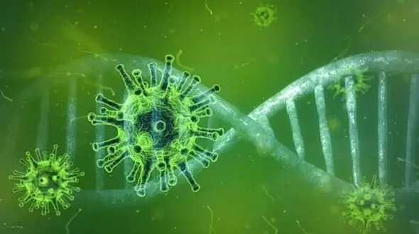 جزئیات بیمه بیکاری دوران کرونا برای کارگران