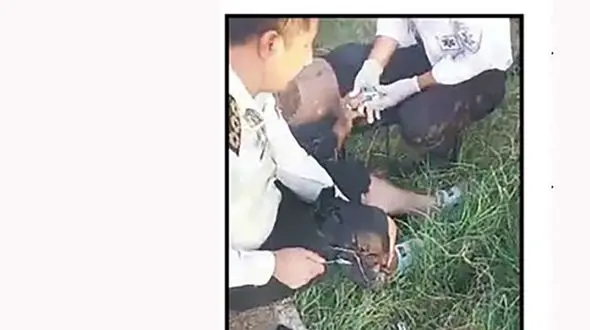 مامور فداکار به دل آتش زد / برای نجات مرد جوان در آتش سوخت + عکس