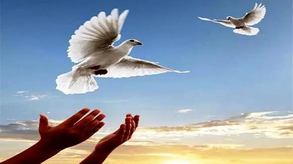 خواننده سرشناس کشور 12 زندانی را آزاد کرد