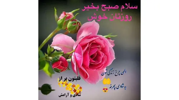 فال ابجد محشر 24 آبان ماه