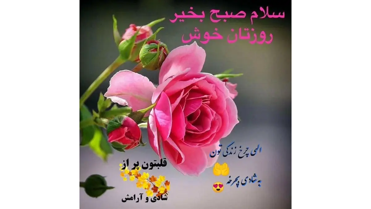 فال ابجد محشر 24 آبان ماه