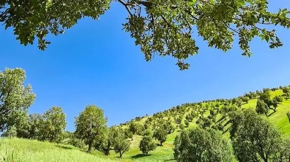 همینی که هستی کافیه