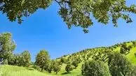 همینی که هستی کافیه