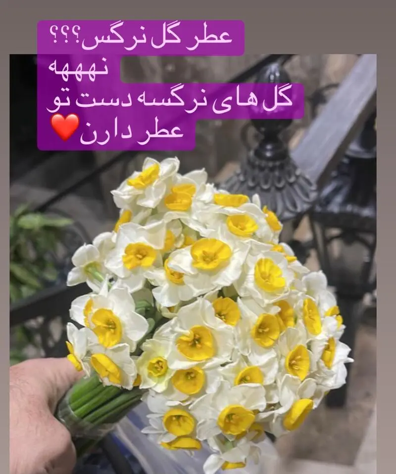 استوری نفیسه روشن