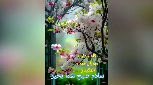 جملات مثبت و انگیزشی امروز + فیلم