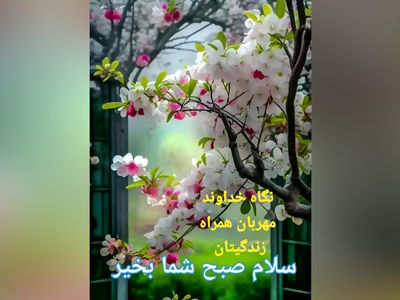 فال ابجد امروز 2 خرداد + فیلم