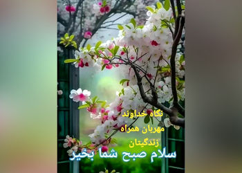 فال ابجد امروز 2 خرداد + فیلم