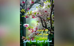 فال ابجد امروز 2 خرداد + فیلم