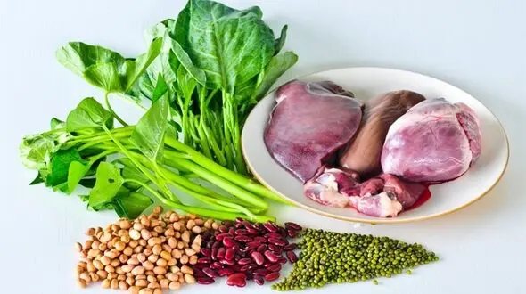 پیشنهاداتی برای جذب پروتئین بیشتر
