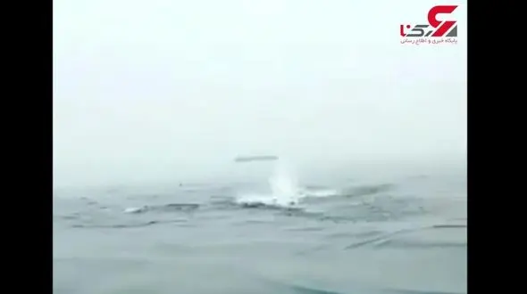 دلفین‌هایی که منظره زیبای هرمز را چشم‌نوازتر می‌کنند + فیلم 