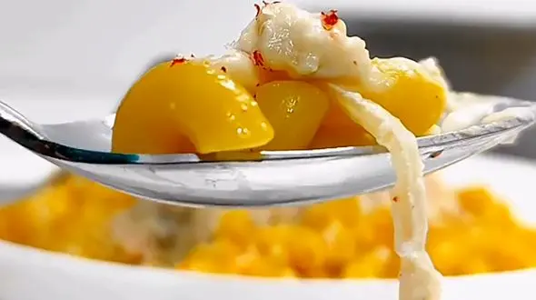 شام چهاردهم از 30 شام متفاوت + فیلم