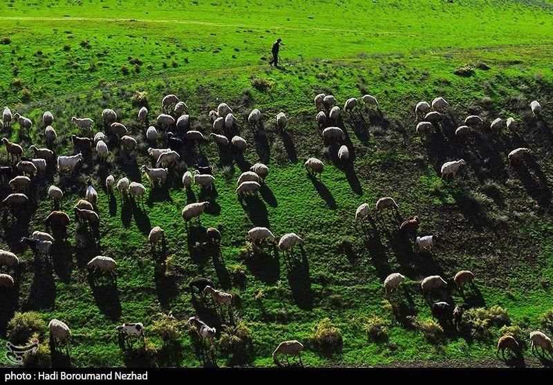 روز عشایر